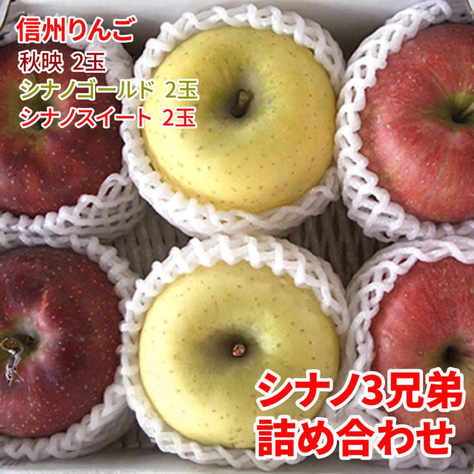 予約販売開始／【長野県産】【10月中旬以降出荷予定】シナノ3兄弟
