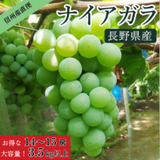 ��ͽ�����䳫�ϡۡ���ǯ��͵��ۥʥ������� 14��15˼ 3.5kg�ʾ� �������� �ʲ��츩��Υ���ϰ������Բġ� �֤ɤ� ��ƺ ��֤ɤ� Ĺ�� ���� ��ʪ �ե롼��