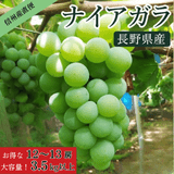 �ڽвٳ��ϡۡ���ǯ��͵��ۥʥ������� 12��13˼ 3.5kg�ʾ� �������� �ʲ��츩��Υ���ϰ������Բġ� �֤ɤ� ��ƺ ��֤ɤ� Ĺ�� ���� ��ʪ �ե롼��
