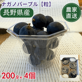 ��ͽ�����䳫�ϡۡھ�ʬ���ǿ��٤䤹���ۥʥ��Υѡ��ץ��γ�ۡ�200g��4 �������� �ʲ��츩��Υ���ϰ������Բġˡˡڣ���ܰʹ߽в�ͽ��۷�Ϸ���� �֤ɤ� Ĺ�� ���� ��ʪ �ե롼�� ��ƺ