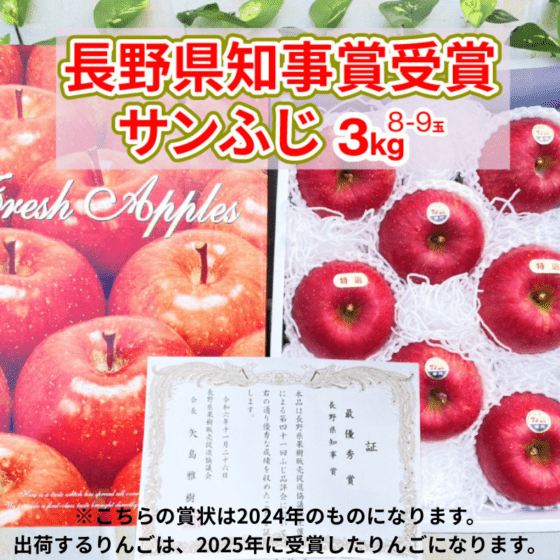 県知事賞受賞りんご先行予約販売開始／サンふじ3kg 8～9玉【11月中旬