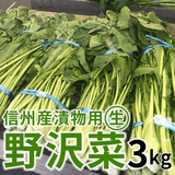 ͽ䳫ϡ  ʪѡڡ3kg 11ܰʹ߽вͽʪ  Ĺ ڿ ߡʲ츩ΥϰԲġ