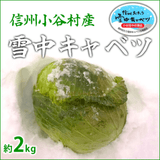 �ڣ������ޤǤδ��ָ���ۿ�����ë¼�� ���業��٥ġ���2kg ��1����ܰʹ� �缡�в�ͽ����������ߡʲ��졦Υ�������Բġ�