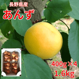 ��300P�Ը���ۡڿ�������������󤺡ؿ�����¡١� 400g��4  1.6kg �å쥷�ԡ�������Ʊ�� ������ �ڣ���ܰʹ߽в�ͽ��ۿ������ ���渵 ���渵 ����� ���ե� ���� Ĺ�� ���� �ɡ�(���������Բġ�