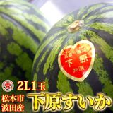 ��ͽ�����䳫�ϡۿ����������Ļ��ֲ�����������2L (7��8kg)1�� ������ ��7����ܺ����缡ȯ�� ���Ļ� ���ĤΤ����� �������ʲ��졦Υ��������Բġ�