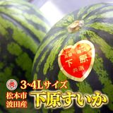 ��ͽ�����䳫�ϡۿ����������Ļ��ֲ�����������3��4L(8��11kg)1�� ������ ��7����ܺ����缡ȯ�� ���Ļ� ���ĤΤ����� �������ʲ��졦Υ��������Բġ�