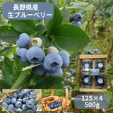 �ڴ��ָ���۾���ϥե�å������֥롼�٥꡼��500g��Ĺ�� �����ʲ�������1,090�ߡ�
