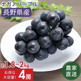 �ڥݥ����10�ܴԸ���ۡڥ��饷�������̲��ʡۡ�����ľ���ۡ�˼������� �ʥ��Υѡ��ץ� ��1.8��2kg 4˼ �������� �ʲ��츩��Υ���ϰ������Բġˡڣ���ܰʹ߽в�ͽ��� Ĺ��ѡ��ץ� �֤ɤ� Ĺ�� ���� ��ʪ �ե롼�� ��ƺ