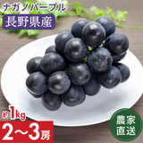 �ڥݥ����10�ܴԸ���ۡڥ��饷�������̲��ʡۡ�����ľ���ۥʥ��Υѡ��ץ���1kg 2��3˼ �������� �ʲ��츩��Υ���ϰ������Բġˡˡڣ���ܰʹ߽в�ͽ��۷�Ϸ���� �֤ɤ� Ĺ�� ���� ��ʪ �ե롼�� ��ƺ