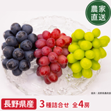 �ڥݥ����10�ܴԸ���ۡڥ��饷�������̲��ʡۡ�����ľ���֤ۤɤ�3�� 4˼���å� ���㥤��ޥ����å�2˼ �ʥ��Υѡ��ץ�1˼ ��������롼�����R��1˼ ��4˼ 1.8��2.0kg �������� �ʲ��츩��Υ���ϰ������Բġˡ�9��ܤ��в�ͽ��֤ۤɤ� Ĺ�� ���� ��ʪ �ե롼�� ��ƺ ��̵�� �餴��
