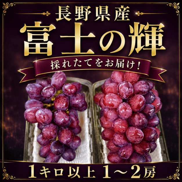 出荷開始】長野県産 【大粒】 富士の輝 1kg以上 1房～2房 送料込 希少
