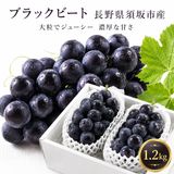 �ڥݥ����10�ܴԸ���ۡڥ��饷�������̲��ʡۡ�����ľ����Ĺ��� �ڹ����֤ɤ�����γ����ʤ��֥�å��ӡ��� 1.2kg ��2��3˼���������� �ʲ��츩��Υ���ϰ������Բġ� 9�����ܰʹߤ���缡ȯ��