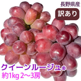 �ڥݥ����10�ܴԸ���ۡڥ��饷�������̲��ʡۡ�ͽ�����䳫�ϡ���������ۥ�������롼�����R��1kg  2��3˼ �������� �ʲ��츩��Υ���ϰ������Բġ� 9����ܰʹߤ���缡ȯ��