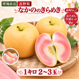 �ڥݥ����10�ܴԸ���۴�����������󤴡֤ʤ��ΤΤ���᤭�סä����ᤷ1kg��2〜3�̡˿��̸��� ������ ��10��ܽ缡�в�ͽ��۴����ʼ� (���������Բġ�