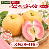 �ڥݥ����10�ܴԸ���۴�����������󤴡֤ʤ��ΤΤ���᤭�ס�3kg��8〜12�̡˿��̸��� ������ ��10��ܽ缡�в�ͽ��۴����ʼ� (���������Բġ�