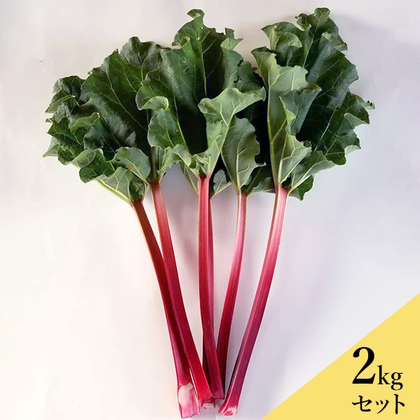 ֤ʥС֡ӡС 2kg ʲ1,590ߡ