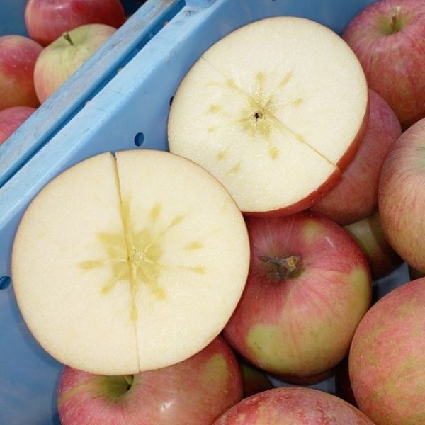 ���вٳ��ϡ�������ľ���ۤ�� ����դ� 5�� £���ѡʾ��̡�18��20������ �������ʲ��츩��Υ���ϰ������Բġ�