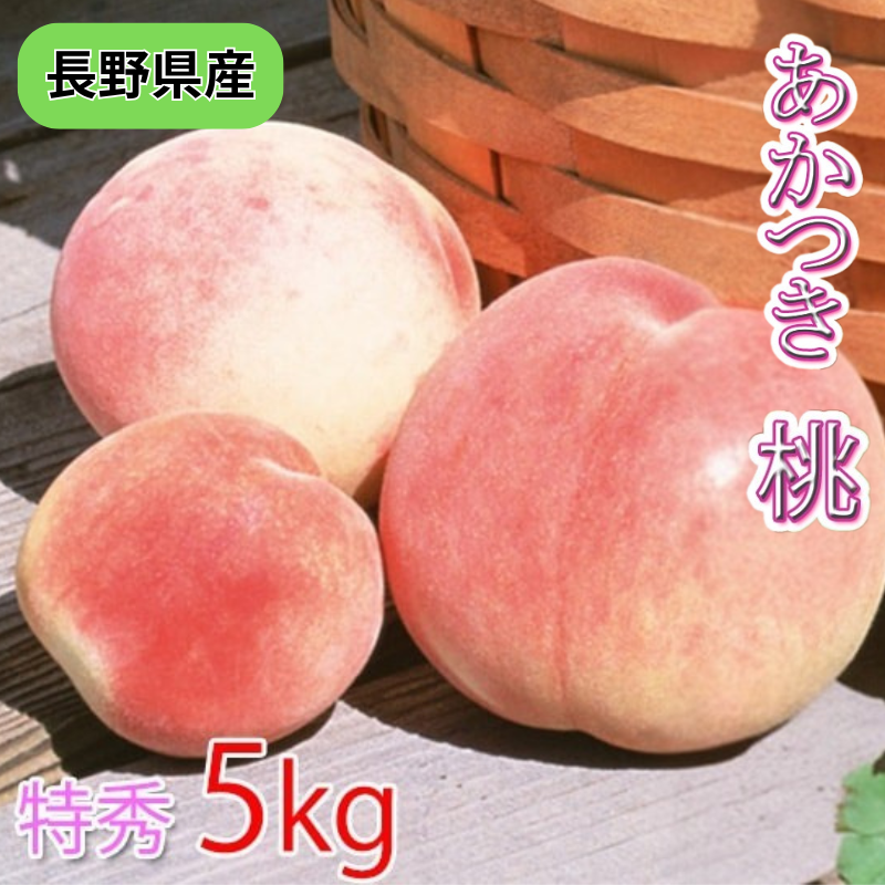 ͽۡ500OFFݥȯĹ Ĥ  ý£ѡ̡5 1316 ڣܤвͽ ̵ 渵 渵  ե  Ĺ (Բġ