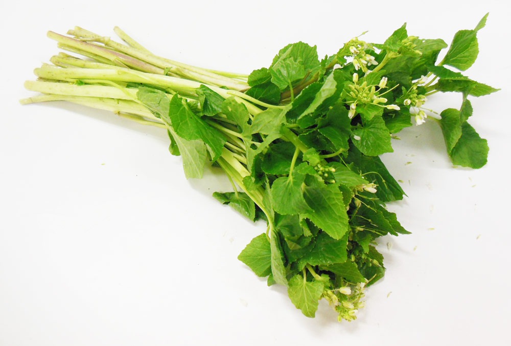 ��ͽ�󳫻ϡۡڣ����Ⱦ�缡�в�ͽ��ۿ����λ��ڤȽ���ڤΥ��åȡ�4����ʾ������������ (���졦Υ�������Բġ�