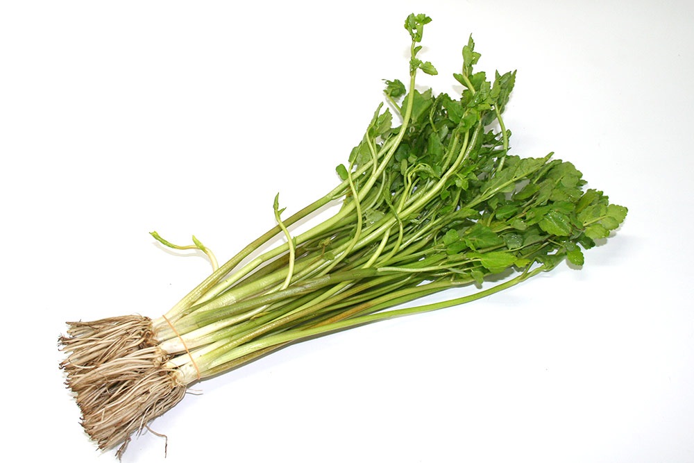 ��ͽ�󳫻ϡۡڣ����Ⱦ�缡�в�ͽ��ۿ����λ��ڤȽ���ڤΥ��åȡ�4����ʾ������������ (���졦Υ�������Բġ�