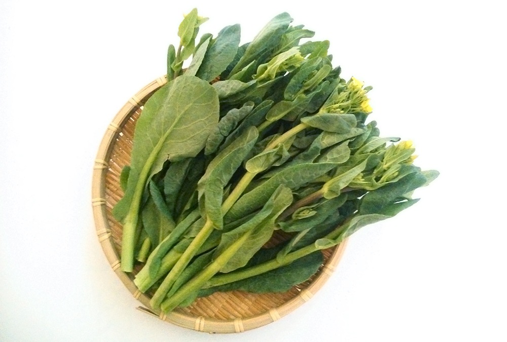 ��ͽ�󳫻ϡۡڣ����Ⱦ�缡�в�ͽ��ۿ����λ��ڤȽ���ڤΥ��åȡ�4����ʾ������������ (���졦Υ�������Բġ�