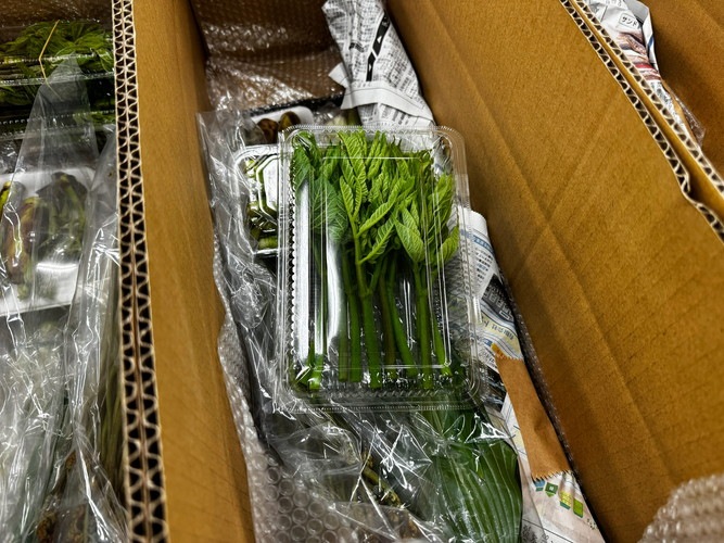 ��ͽ�󳫻ϡۡڣ����Ⱦ�缡�в�ͽ��ۿ����λ��ڤȽ���ڤΥ��åȡ�4����ʾ������������ (���졦Υ�������Բġ�