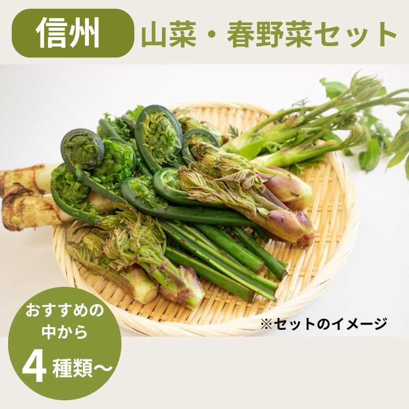 ��ͽ�󳫻ϡۡڣ����Ⱦ�缡�в�ͽ��ۿ����λ��ڤȽ���ڤΥ��åȡ�4����ʾ������������ (���졦Υ�������Բġ�