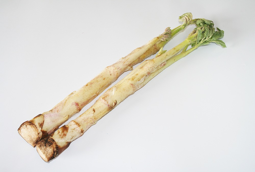 ��ͽ�󳫻ϡۡڣ����Ⱦ�缡�в�ͽ��ۿ����λ��ڤȽ���ڤΥ��åȡ�4����ʾ������������ (���졦Υ�������Բġ�