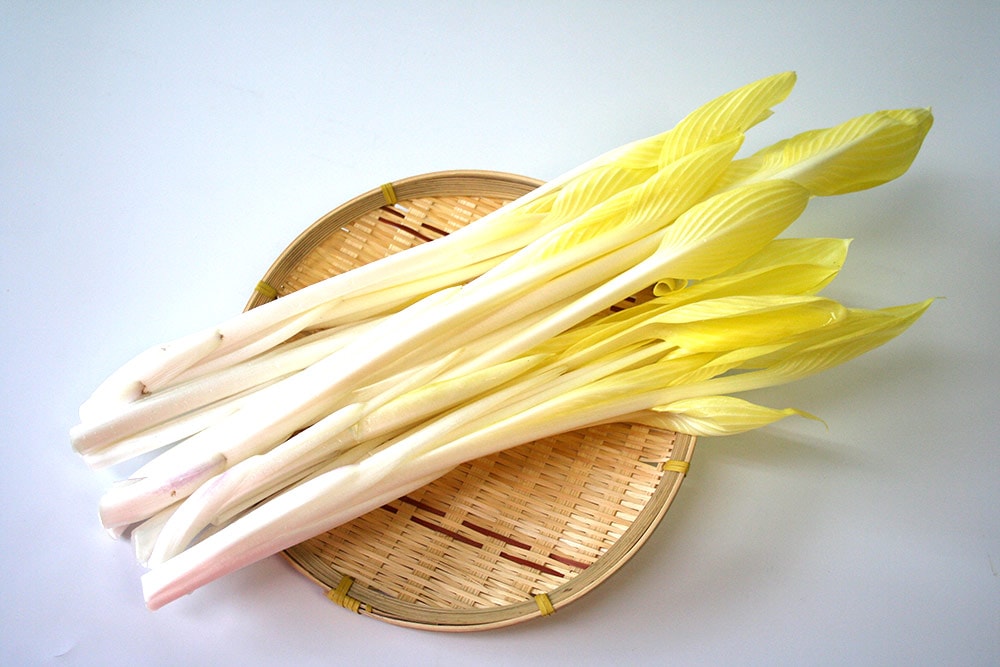 ��ͽ�󳫻ϡۡڣ����Ⱦ�缡�в�ͽ��ۿ����λ��ڤȽ���ڤΥ��åȡ�4����ʾ������������ (���졦Υ�������Բġ�