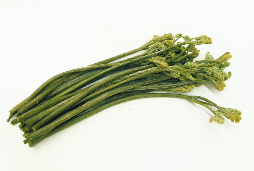 ��ͽ�󳫻ϡۡڣ����Ⱦ�缡�в�ͽ��ۿ����λ��ڤȽ���ڤΥ��åȡ�4����ʾ������������ (���졦Υ�������Բġ�