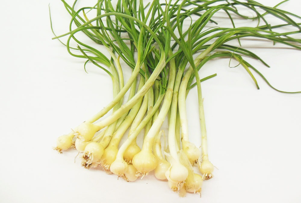 ��ͽ�󳫻ϡۡڣ����Ⱦ�缡�в�ͽ��ۿ����λ��ڤȽ���ڤΥ��åȡ�4����ʾ������������ (���졦Υ�������Բġ�