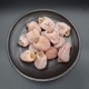 ָ꡿ڿʪۡڽвٳϤޤۻĳ  600ѡ300g2ѥå  ɥ饤ե롼   ۤ  ³  (졦Υ870)