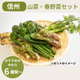 ��ͽ�󳫻ϡۡڣ����Ⱦ�缡�в�ͽ��ۿ����λ��ڤȽ���ڤΥ��åȡ�6����ʾ������������ (���졦Υ�������Բġ�