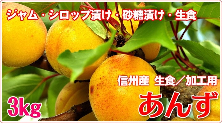 ��300P�Ը���ۡڤ⤦������λ7/15�ޤǡ۽ܤΤ��� 3kg ����/�ù��� ���� Ĺ��� 7���ܳ���ͽ��