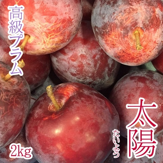 ͽ䡿 ǹ ץ 2kg ꤴ8ܤ缡ȯͽ
