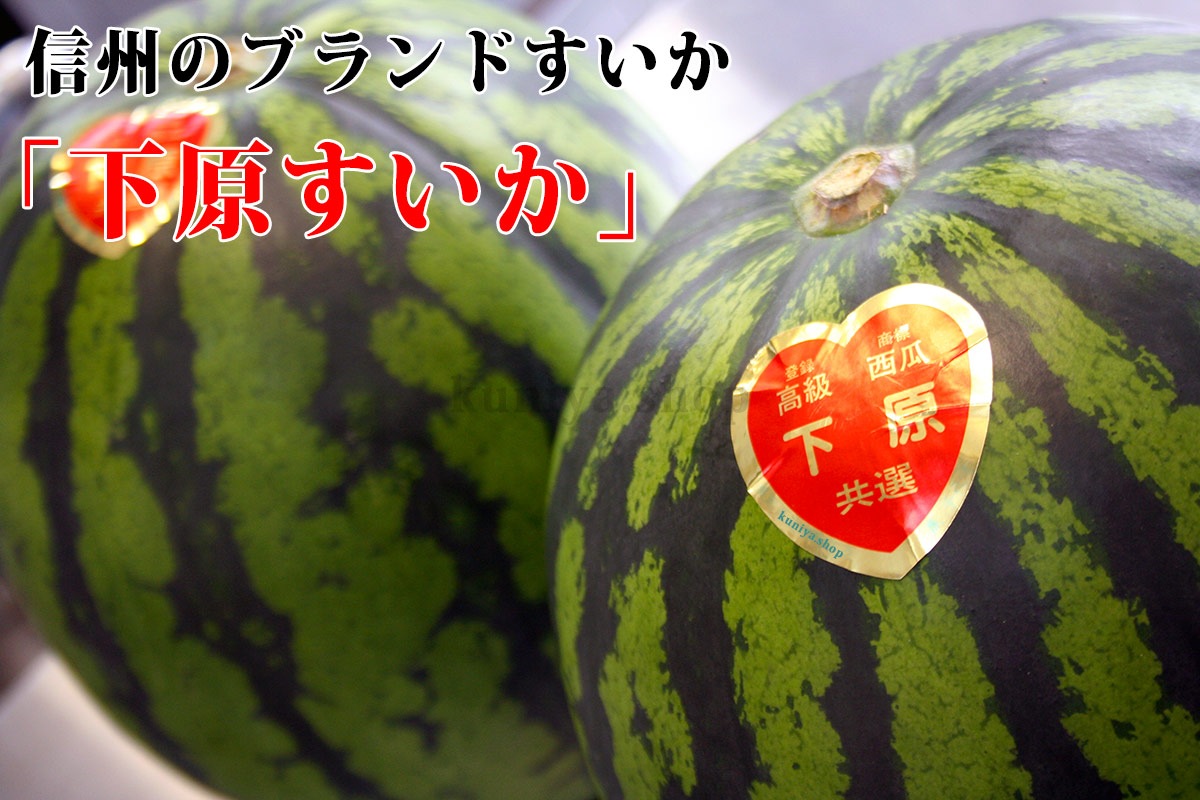 ��ͽ�����䳫�ϡۿ����������Ļ��ֲ�����������2L (7��8kg)1�� ������ ��7����ܺ����缡ȯ�� ���Ļ� ���ĤΤ����� �������ʲ��졦Υ��������Բġ�