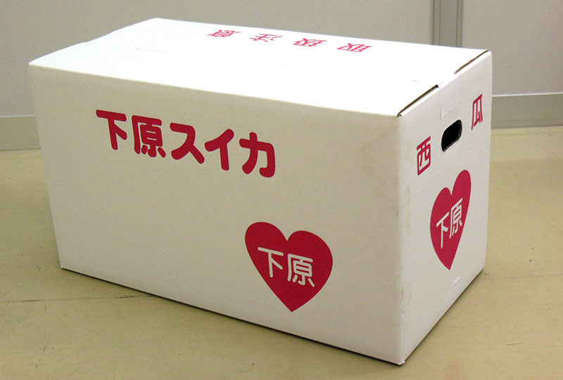 ��ͽ�����䳫�ϡۿ����������Ļ��ֲ�����������2L (7��8kg)1�� ������ ��7����ܺ����缡ȯ�� ���Ļ� ���ĤΤ����� �������ʲ��졦Υ��������Բġ�