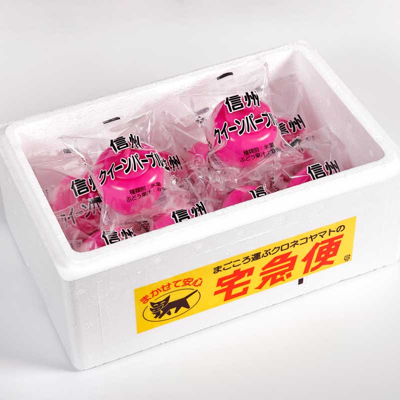 �������ۡ� ������������ѡ��ץ�� 10������ ������ �����顼�� ���������꡼�� �������� ������ ���ե� �ץ쥼��� ���渵 �ե롼�� �֥ɥ� Ĺ�� ������  �������ʲ�������1,590�ߡ�