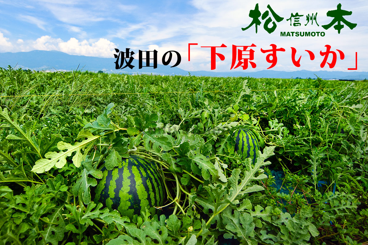 ��ͽ�����䳫�ϡۿ����������Ļ��ֲ�����������3��4L(8��11kg)1�� ������ ��7����ܺ����缡ȯ�� ���Ļ� ���ĤΤ����� �������ʲ��졦Υ��������Բġ�