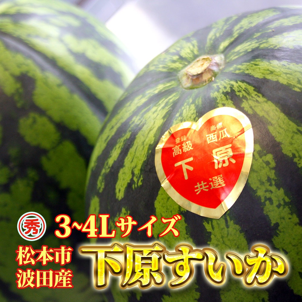 ��ͽ�����䳫�ϡۿ����������Ļ��ֲ�����������3��4L(8��11kg)1�� ������ ��7����ܺ����缡ȯ�� ���Ļ� ���ĤΤ����� �������ʲ��졦Υ��������Բġ�