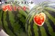 ��ͽ�����䳫�ϡۿ����������Ļ��ֲ�����������3��4L(8��11kg)1�� ������ ��7����ܺ����缡ȯ�� ���Ļ� ���ĤΤ����� �������ʲ��졦Υ��������Բġ�