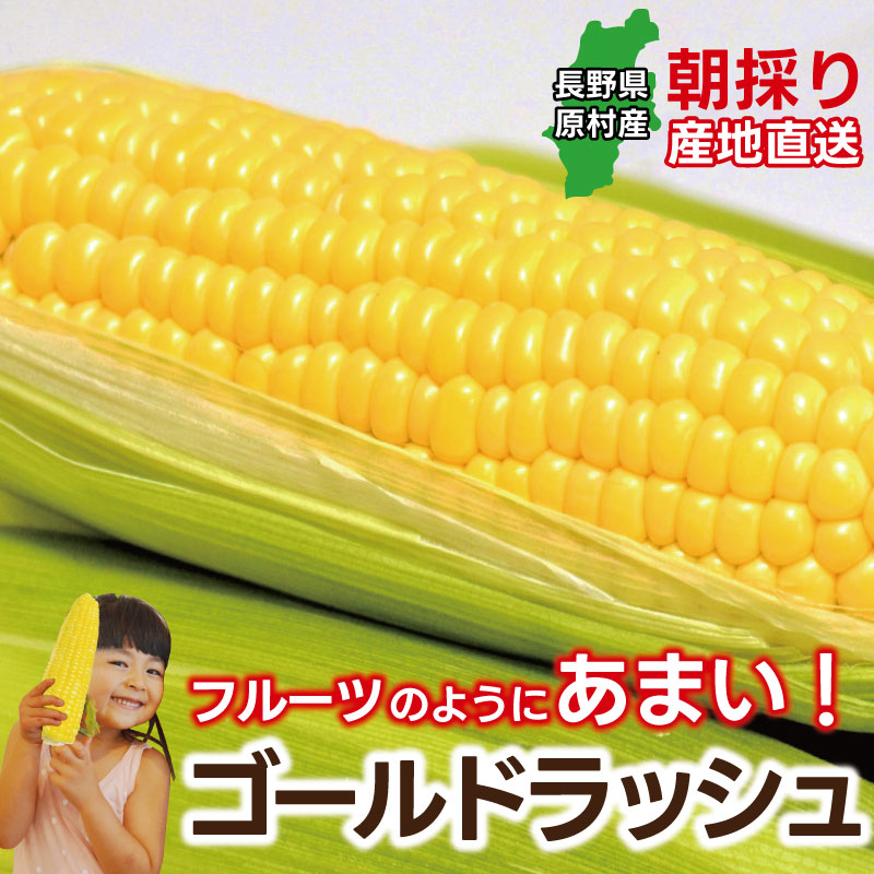 �ں���ʬ��λ���ޤ����ۡ�������ۤȤ���������ڥ�����ɥ�å����12�ܥ��å� (���츩��Υ���ϰ������Բ�) ��Ϸ���� �Ť� �� ����̵�� Ĺ��� ���� �ȥ�������� ���ե� ���� ����ľ�� Ĺ���¼ ��¼ £��ʪ