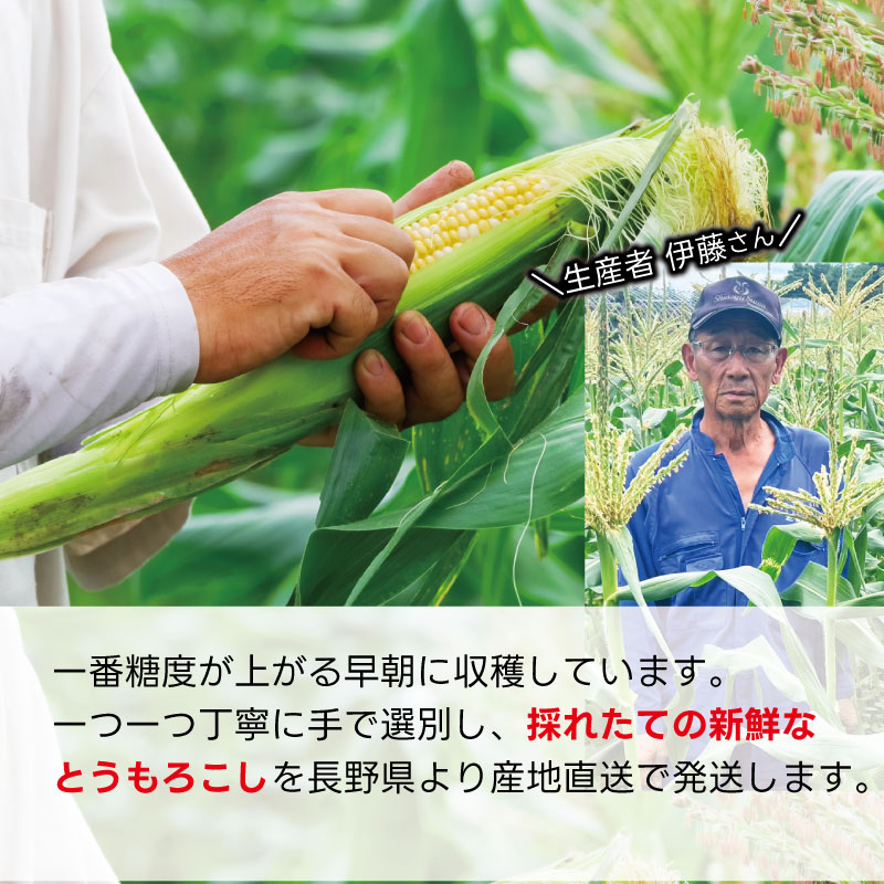 �ں���ʬ��λ���ޤ����ۡ�������ۤȤ���������ڥ�����ɥ�å����12�ܥ��å� (���츩��Υ���ϰ������Բ�) ��Ϸ���� �Ť� �� ����̵�� Ĺ��� ���� �ȥ�������� ���ե� ���� ����ľ�� Ĺ���¼ ��¼ £��ʪ