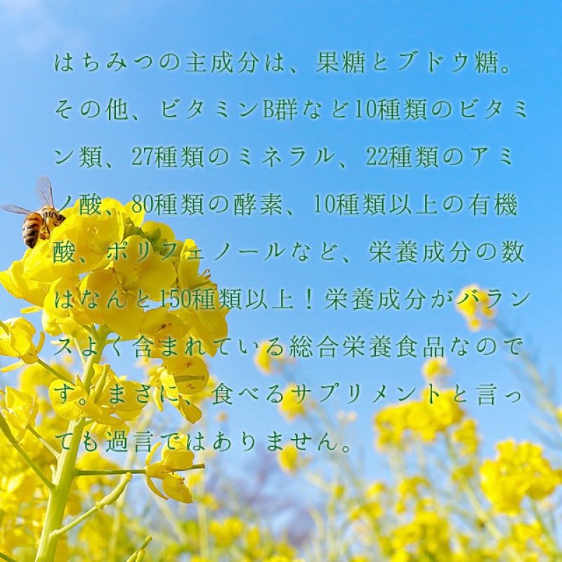 �����β֡��������ޤ줿��˪̪���åȡʥ�������120g�� 1�ܡ�ɴ�� 120g�� 2�ܡ� 