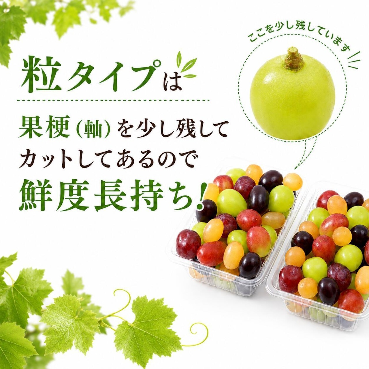 �ڥݥ����10�ܴԸ���ۡ�ͽ�����䳫�ϡ�������ľ����Ĺ��� ���֡����֤ɤ� ��γ��5�ʼ��γ�ͤ��碌����500��˿�����٥��å� �������� �ʲ��츩��Υ���ϰ������Բġ� 9����ܰʹߤ���缡ȯ��