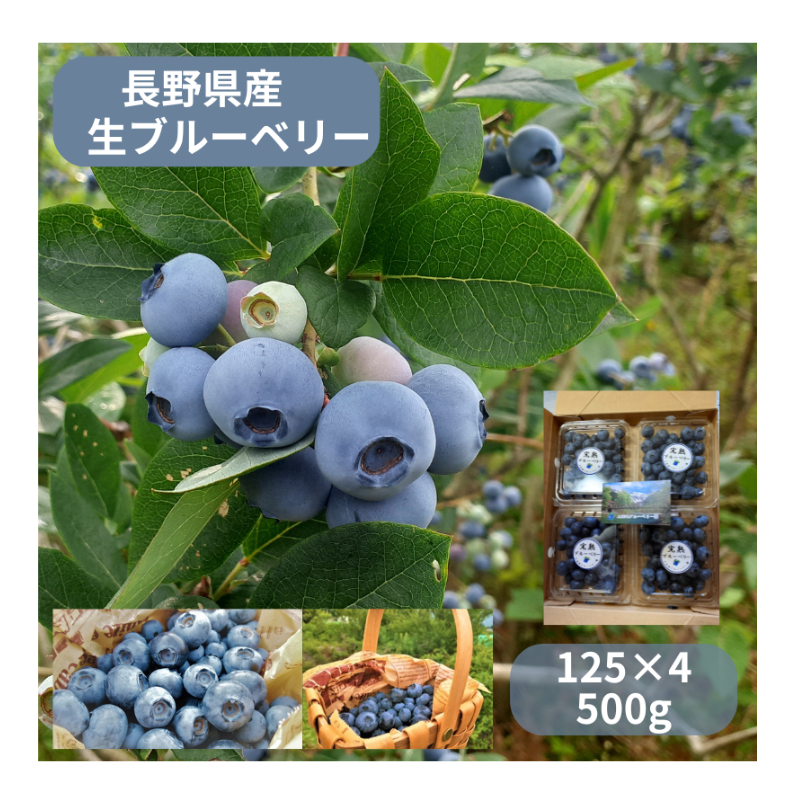 �ڴ��ָ���ۡ�ͽ�����䡿����ϥե�å������֥롼�٥꡼��500g��Ĺ�� �����ʲ�������1,090�ߡ�