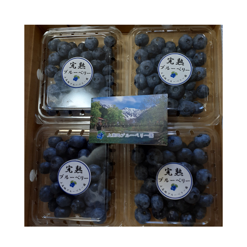 �ڴ��ָ���ۡ�ͽ�����䡿����ϥե�å������֥롼�٥꡼��500g��Ĺ�� �����ʲ�������1,090�ߡ�