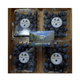 �ڴ��ָ���ۡ�ͽ�����䡿����ϥե�å������֥롼�٥꡼��500g��Ĺ�� �����ʲ�������1,090�ߡ�