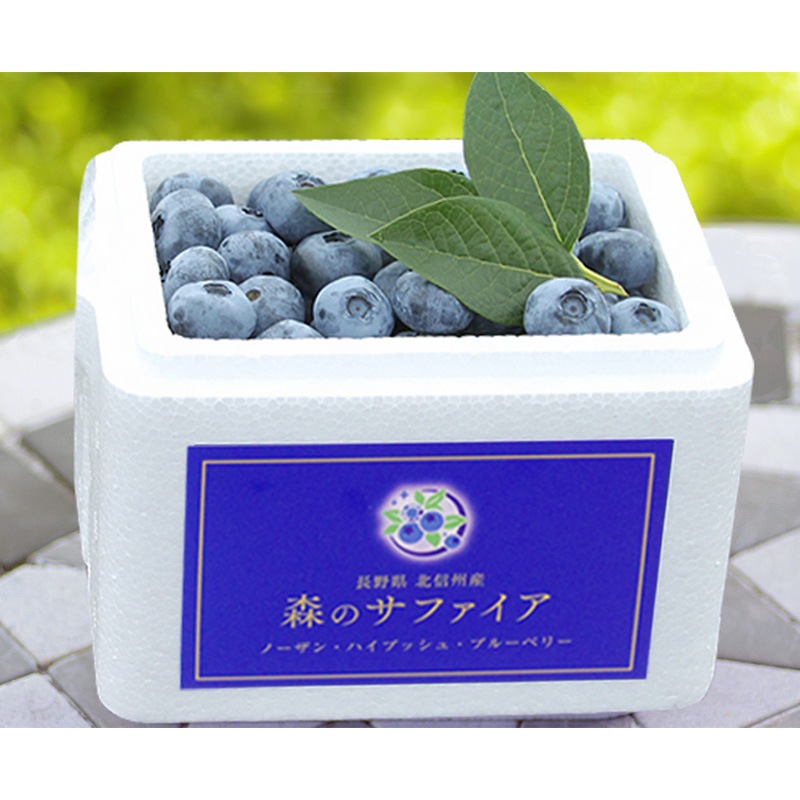 �����ָ���7/20�ޤǽв�ͽ�꡿�ڿ�����ľ�ء� �ֿ��Υ��ե������׶˾�֥롼�٥꡼ ���̼� 500�� ��γ L������ �������ܺ����缡ȯ�� ������(���졦Υ�������Բ�)