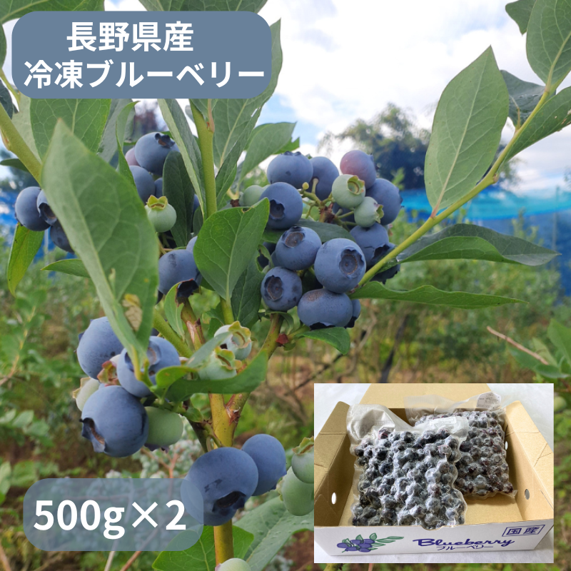 �ڴ��ָ���۾��������֥롼�٥꡼ ������ Ĺ�� ���� �ʲ�������1,090�ߡ�